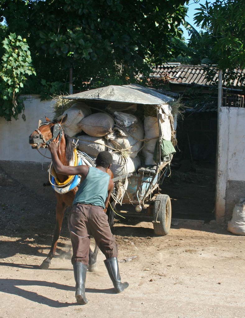 A parking problem by the railway track near Trinidad.