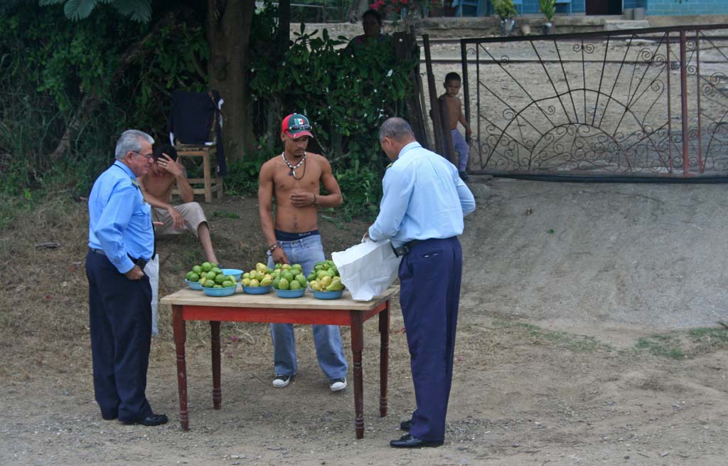 The driver and co-driver of our bus from Camagüey to Santiago stop to buy guavas by the roadside.