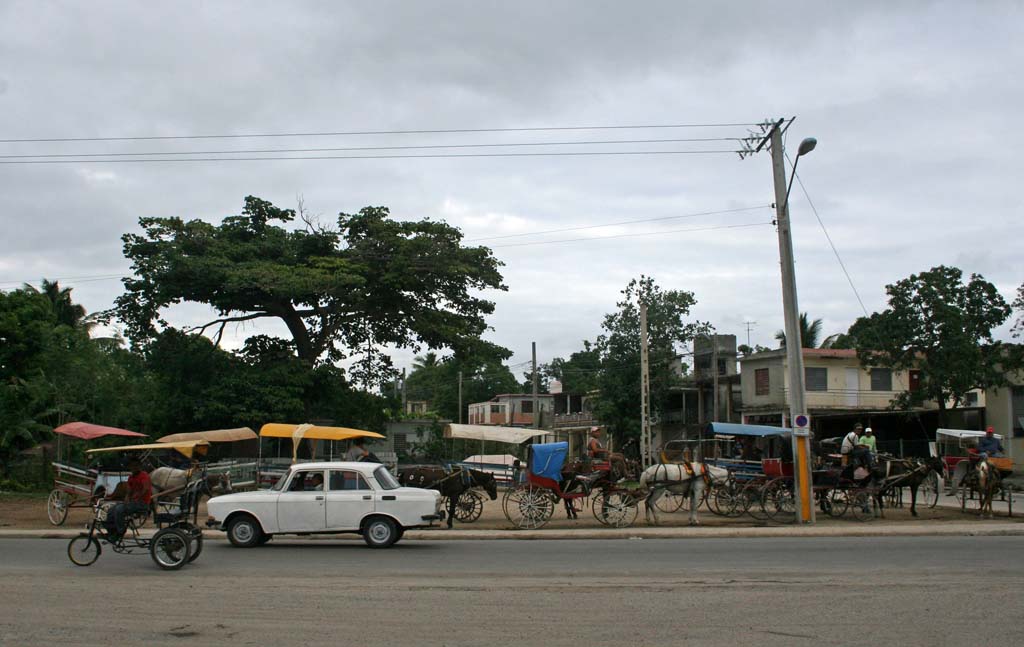 The local horse and carriage depot.
