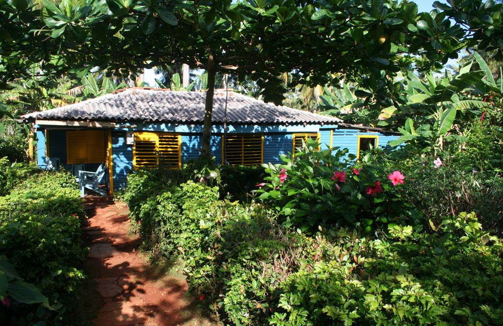 The house itself.