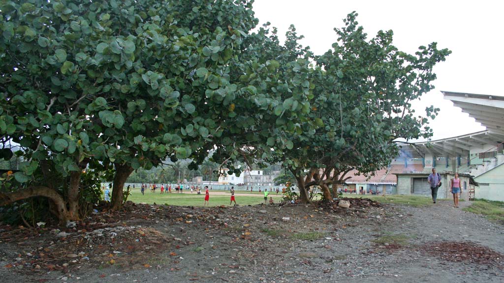 Returning towards the stadium after our long hike.