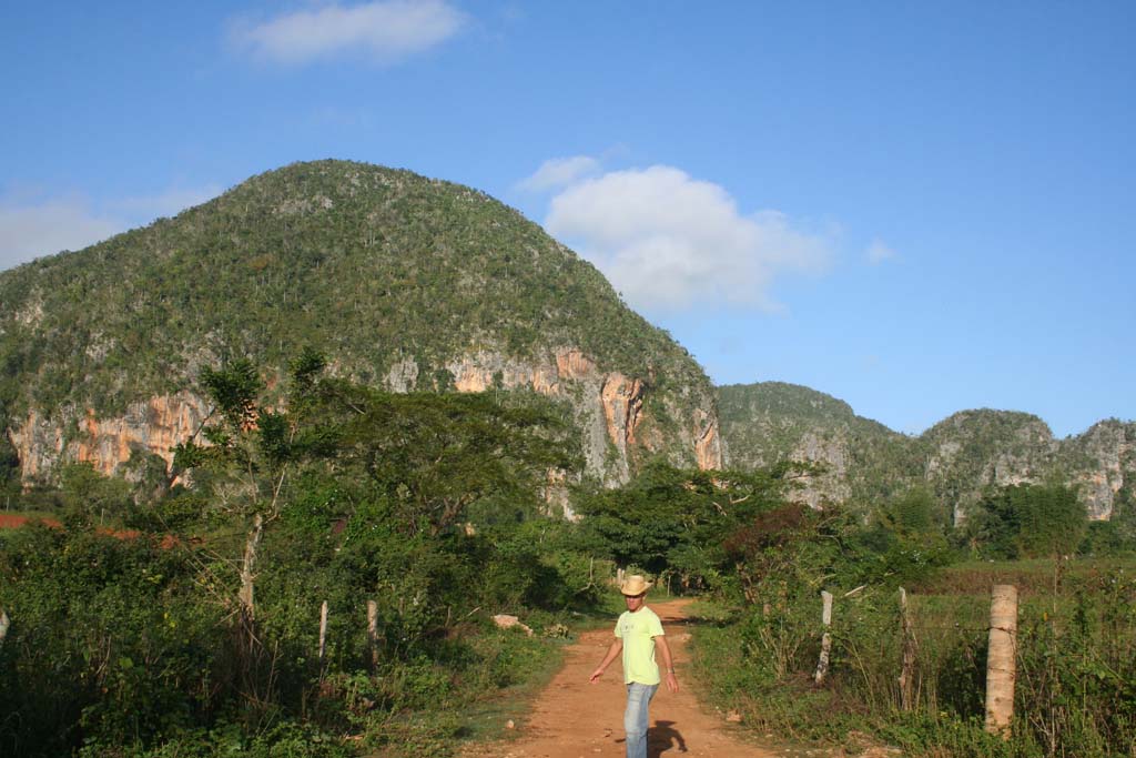 The horses are just down here...