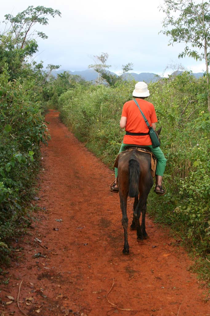 Mary riding <em>Negro.</em>