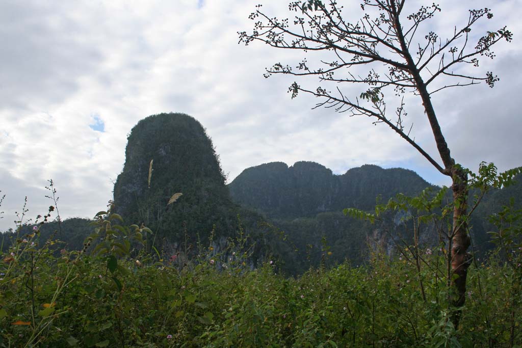 A rather sudden <em>mogote.</em>