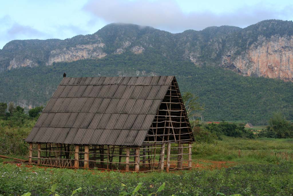 An open barn with a vulture on the roof.
