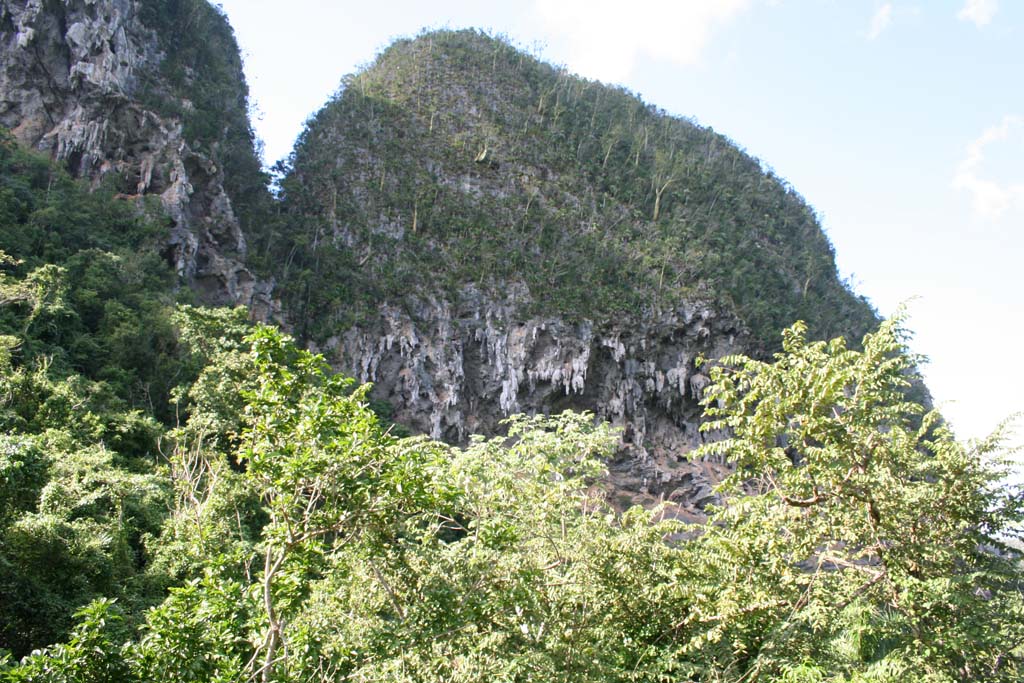 A small <em>mogote</em> near the road.