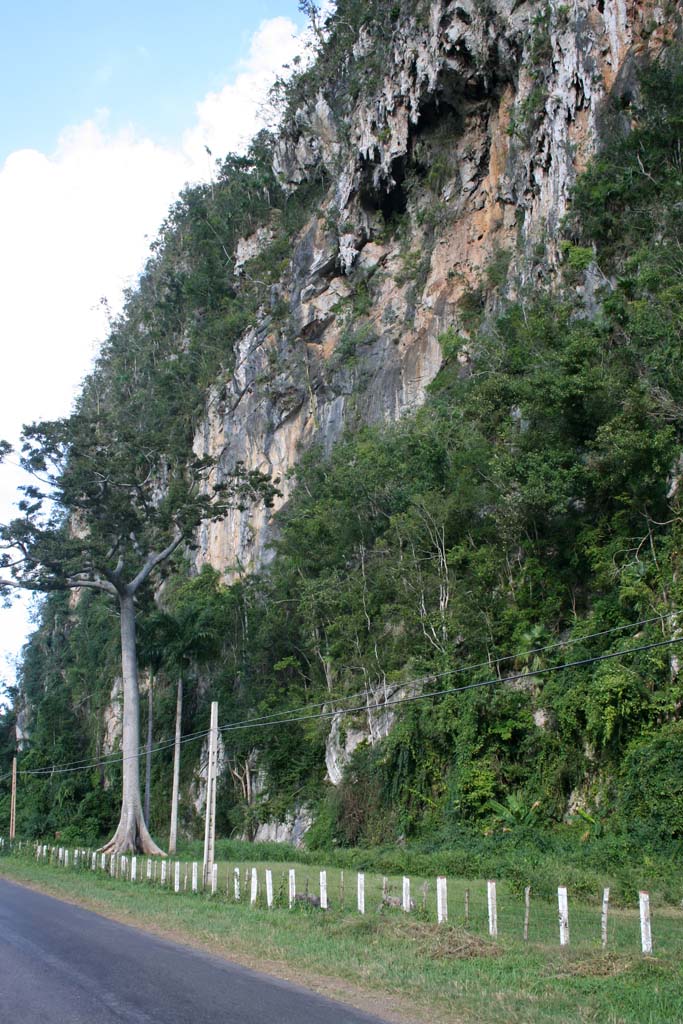 A <em>mogote</em> by the road.