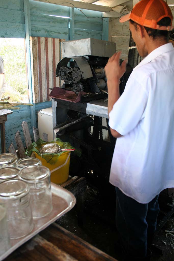 The juice coming out into the strainer.