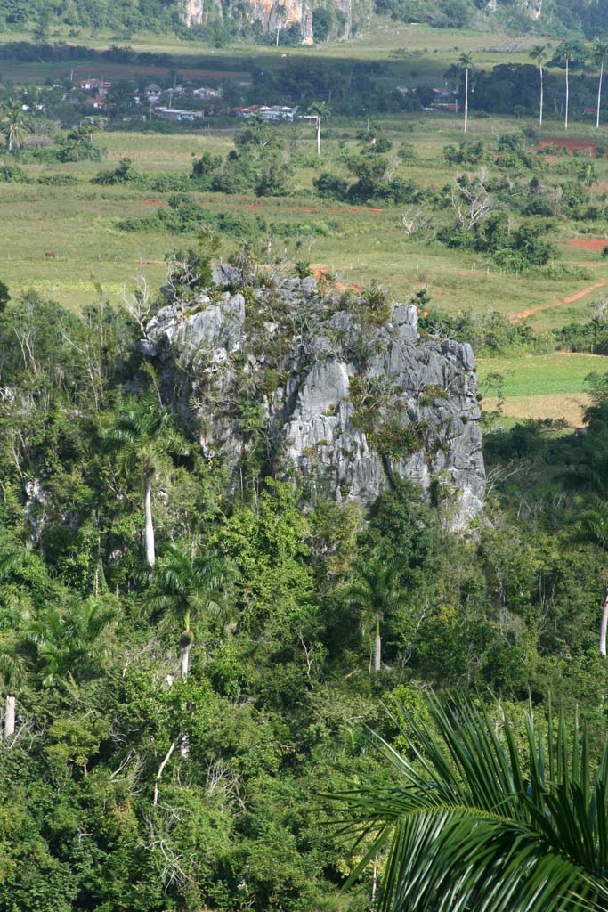 A view down from the hotel.