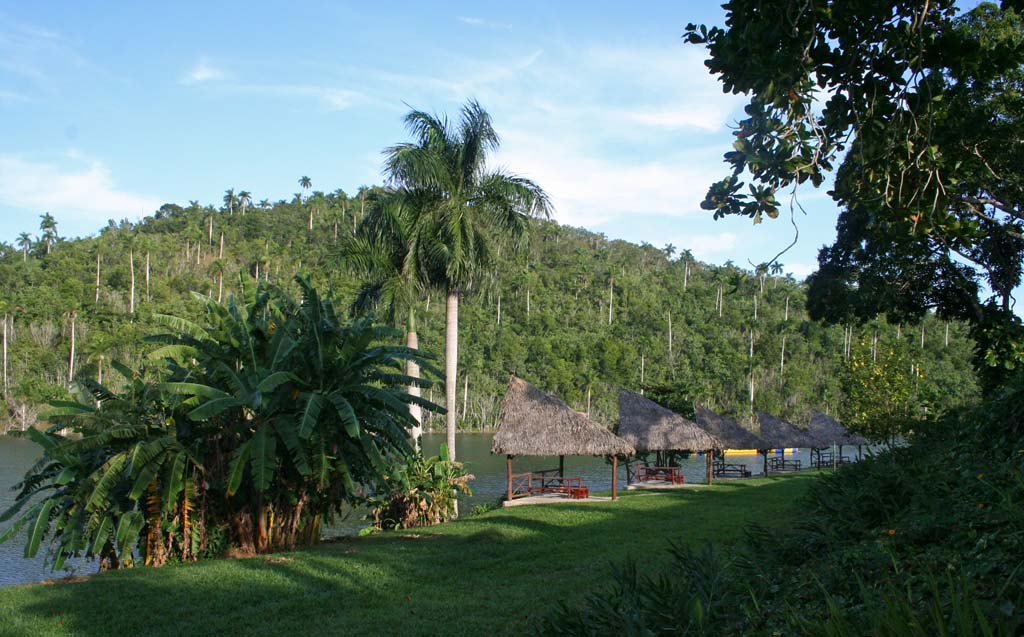 A row of thatched sun shelters by the lake.