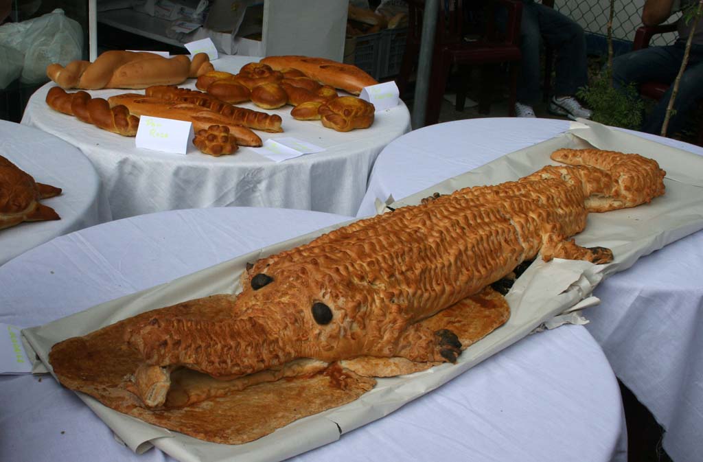 Alligator pie?