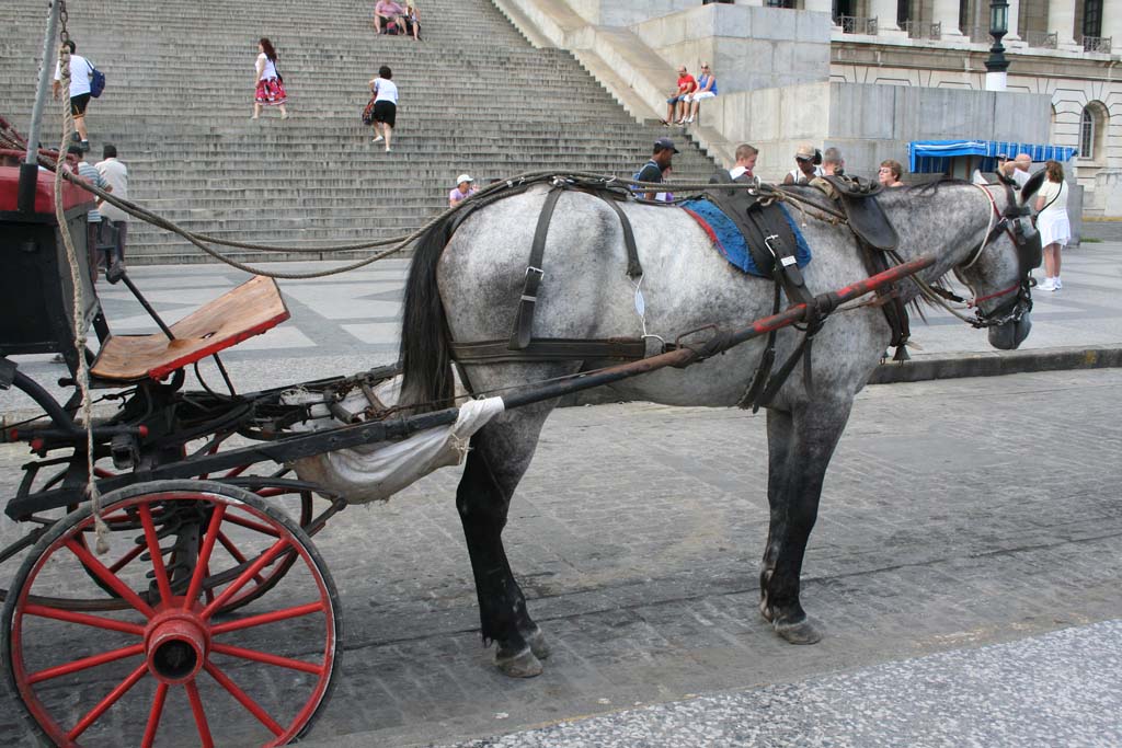 Waiting for business at the bottom of the steps of <em>El Capitolio,</em> Havana.