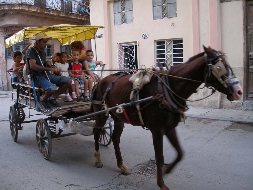 In Habana Centro: off to school?