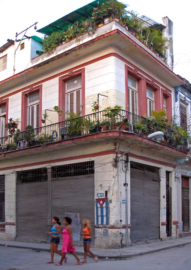 Lush roof and balcony gardens, and some typically bright clothes.
