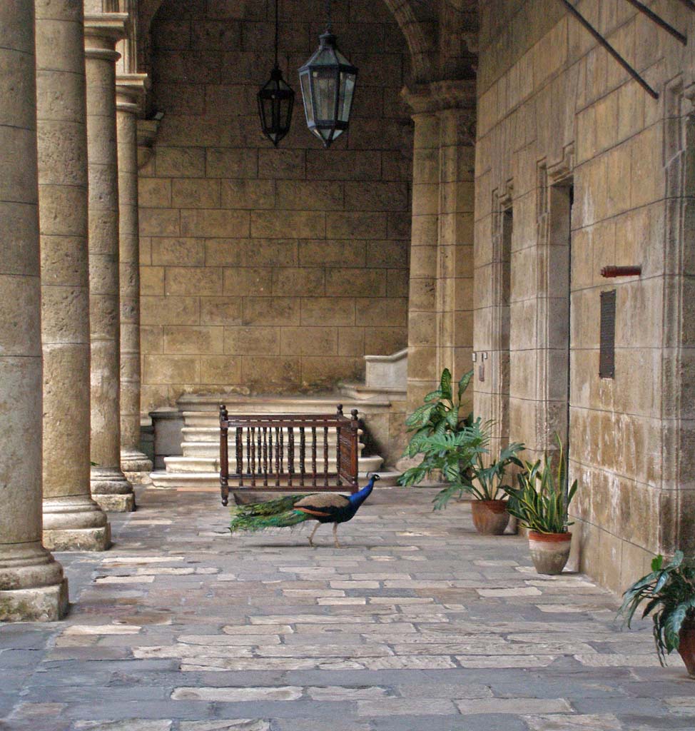 A local resident at the <em>Museo de la Ciudad.</em>