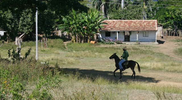 A <em>caballero</em> by the track.