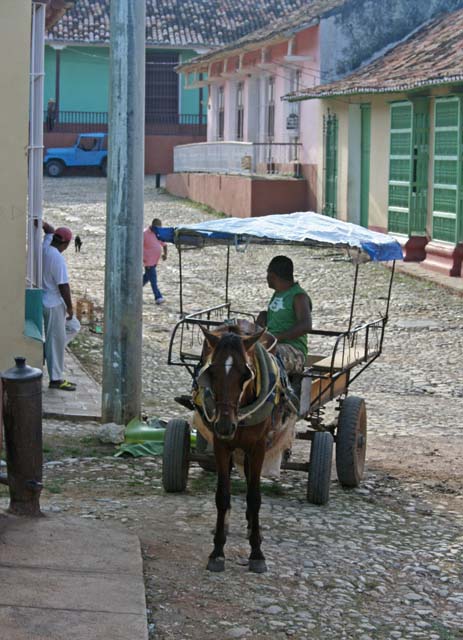 Local transport near where we stayed in Trinidad.