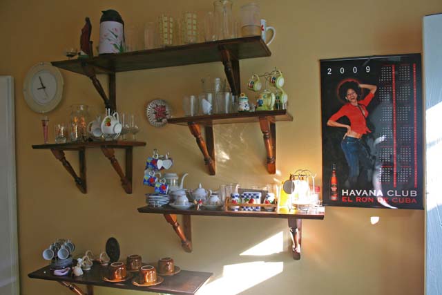 Shelves in Sonia's kitchen.