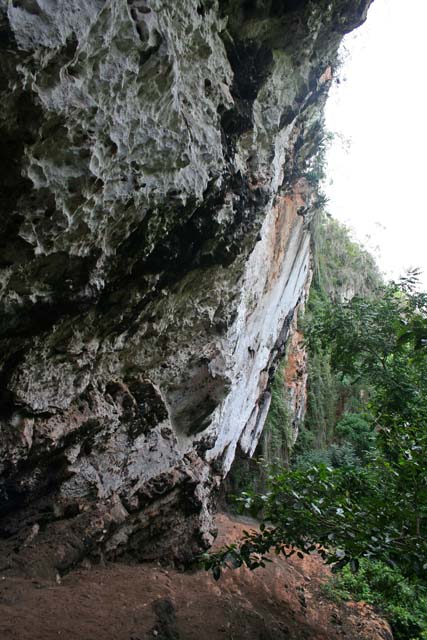 Limestone <em>paradones</em> cliffs.