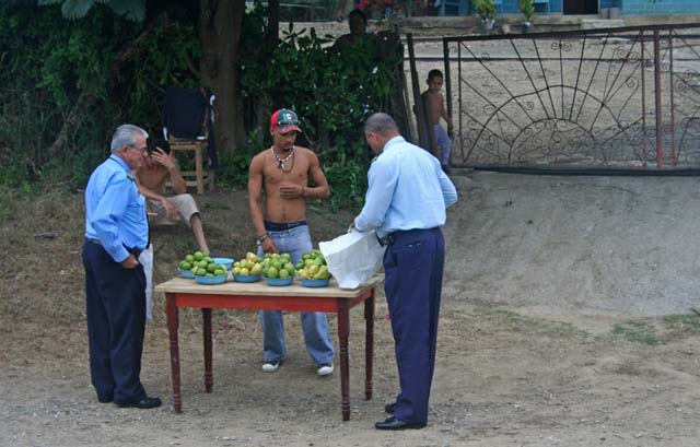The driver and co-driver stop to buy guavas by the roadside.