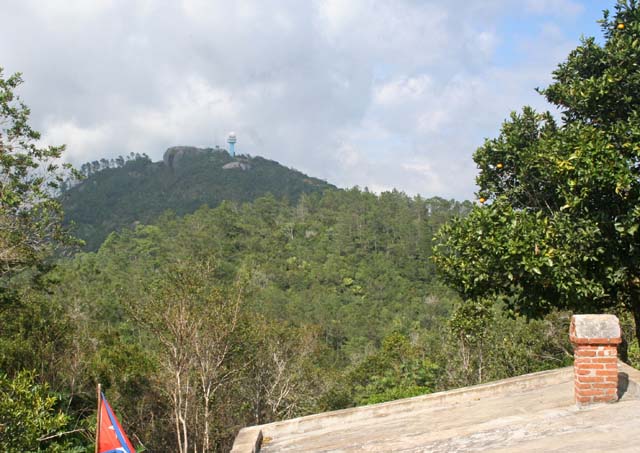The view up to the <em>Gran Piedra.</em>