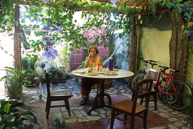 The patio where we ate, sheltered by a flowering shrub called <em>fausto.</em>