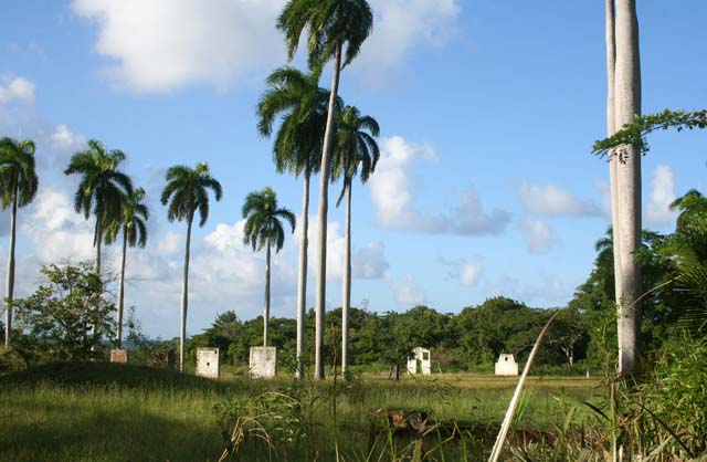 Some sort of disused military installation on the way to the beach.