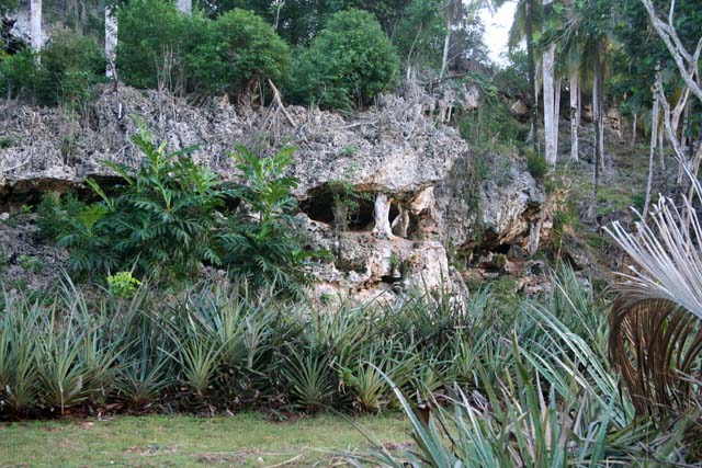 Dramatic limestone rocks.