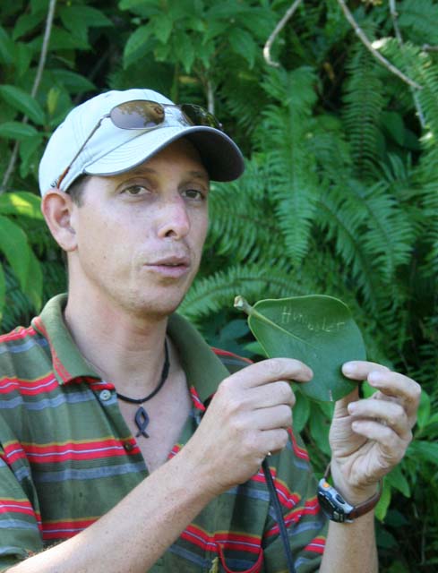 Oscar shows how the leaf of the <em>cupey</em> tree can be used for carrying messages.