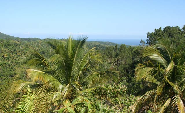 A view across the jungle to the sea.