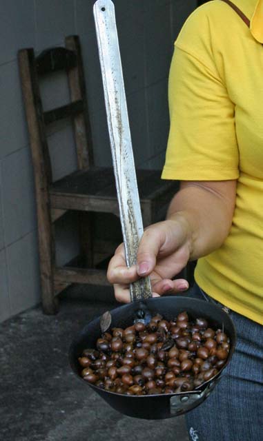 The <em>Vita del Pinar</em> beans used in the <em>Guajavita</em> rum factory we visited in Pinar del Rio.