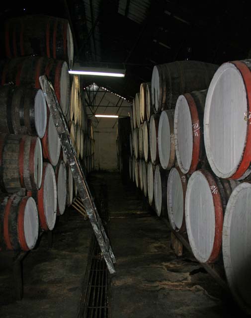 Barrels of maturing rum.