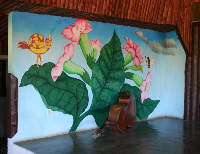 A double bass ready for use in the bar at the tobacco <em>vega</em> outside Viñales.