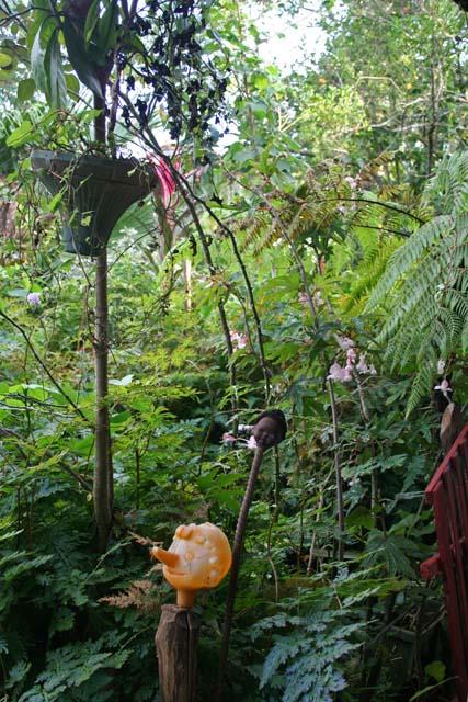 Pinocchio in the <em>Jardín Botánico de Caridad.</em>