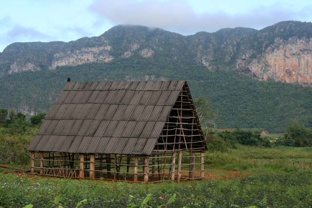 An open barn with a vulture on the roof.