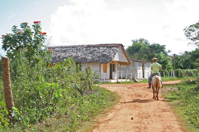 ...and goodbye to our <em>caballero.</em>