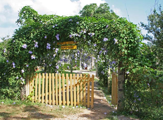 The inviting entrance to another <em>casa particular.</em>