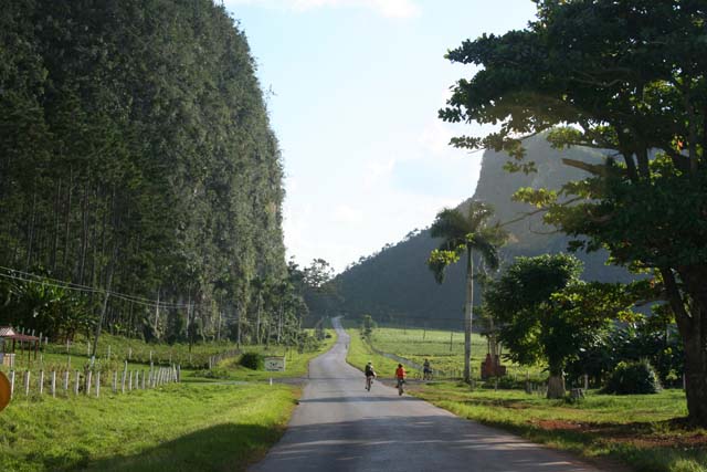 The road back to town.