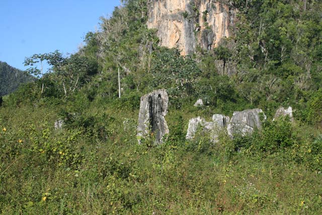 Teeth of limestone sticking out of the ground.