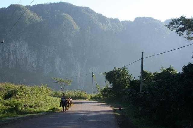 A tranquil scene in the valley.