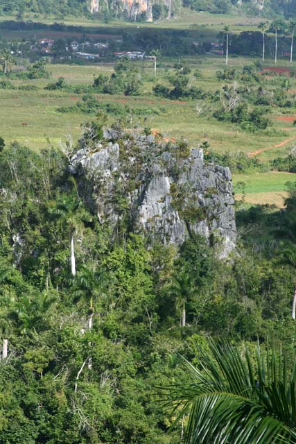 A view down from the hotel.