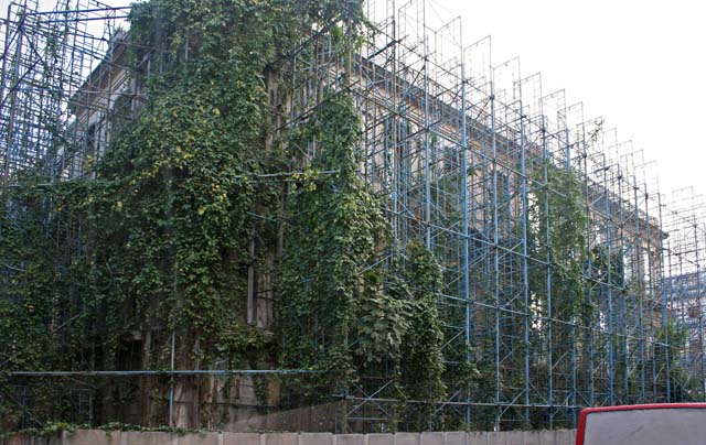 How long has that scaffolding been up? The plants are very well established.