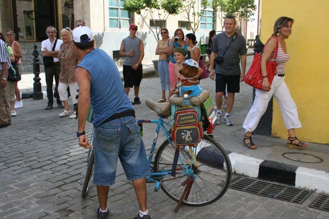 Trying to get some money from the tourists in Havana - no way to treat an innocent dog.