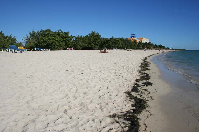 View along the beach.