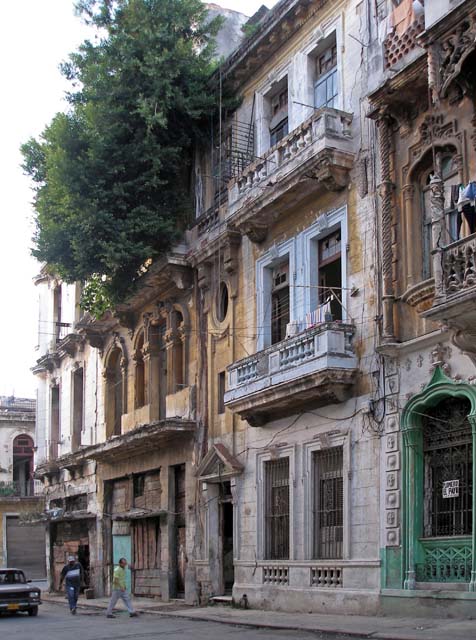 A top floor completely taken over by nature in Habana Centro.