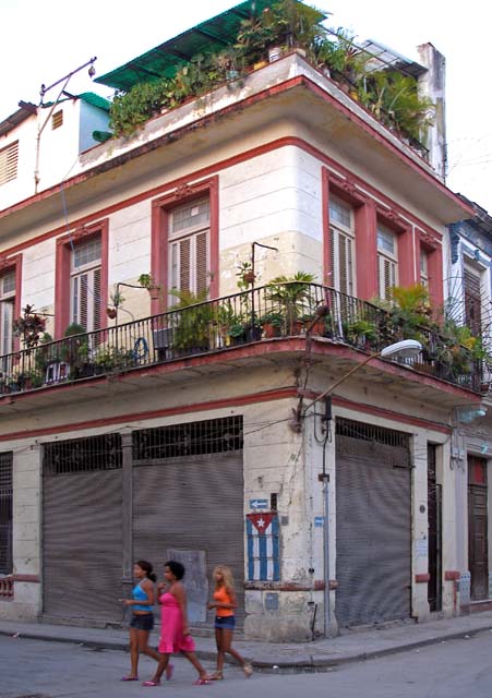 Lush roof and balcony gardens, and some typically bright clothes.