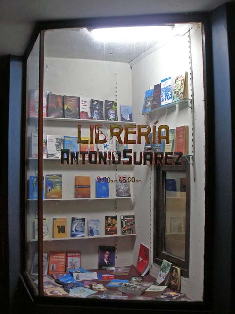 A sad but typical bookshop window.