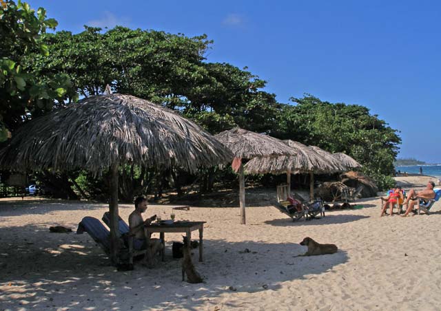 Chris at the table with an expectant canine audience on Maguana beach.