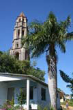The lookout tower with a royal palm in fruit.
