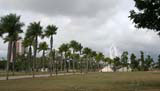 An avenue of royal palms leading to the Plaza de la Revolución in Camagüey.